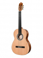 Гитара классическая TESORO TS3940